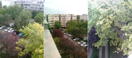 /txt/hirek/kepek/kam1 440_20100627.jpg 